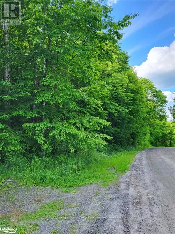 0 Haines Lake Road, McDougall, Ontario P2A 0B3