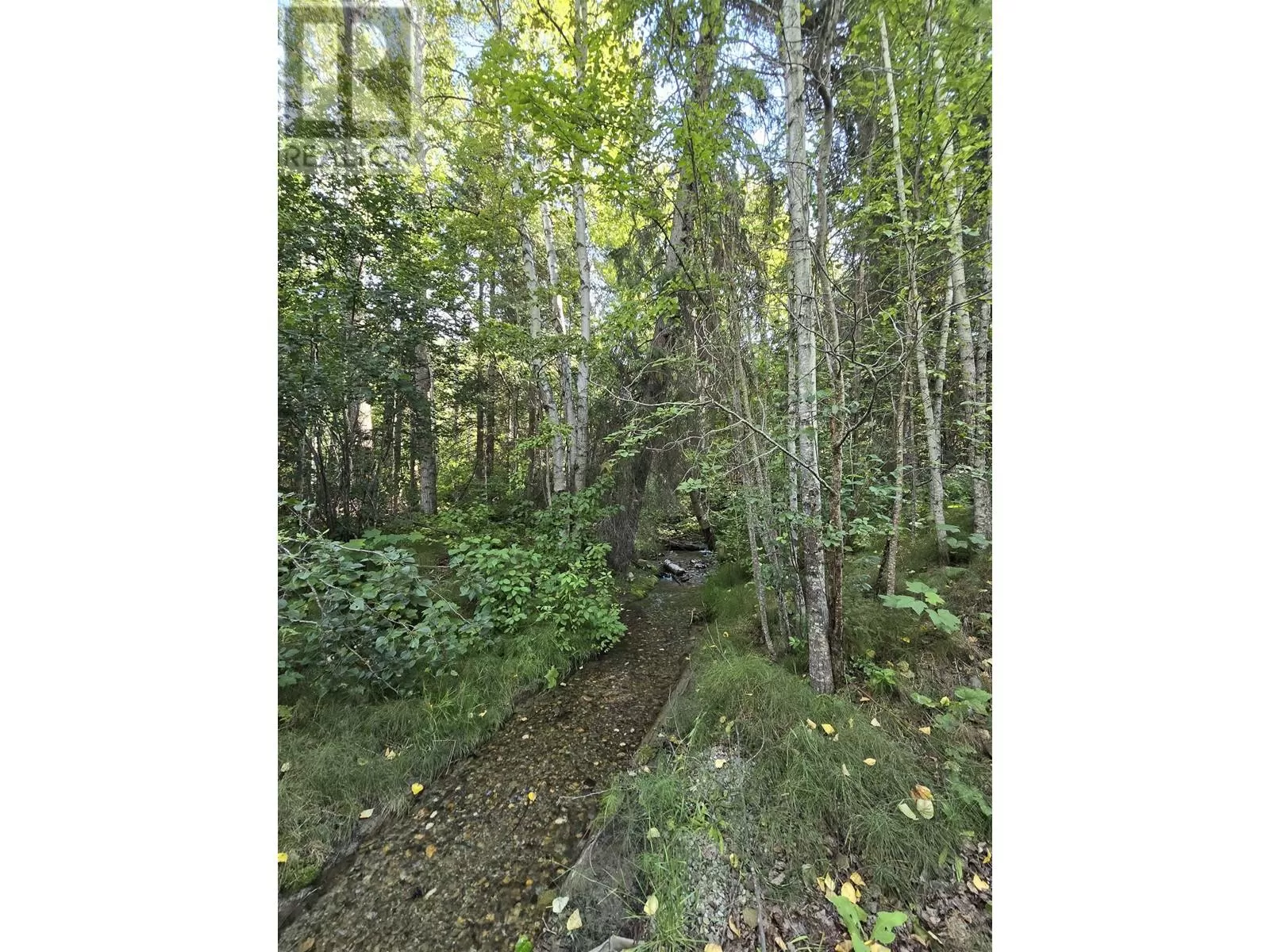 11328 E 16 Highway, Valemount, British Columbia V0E 2Z0