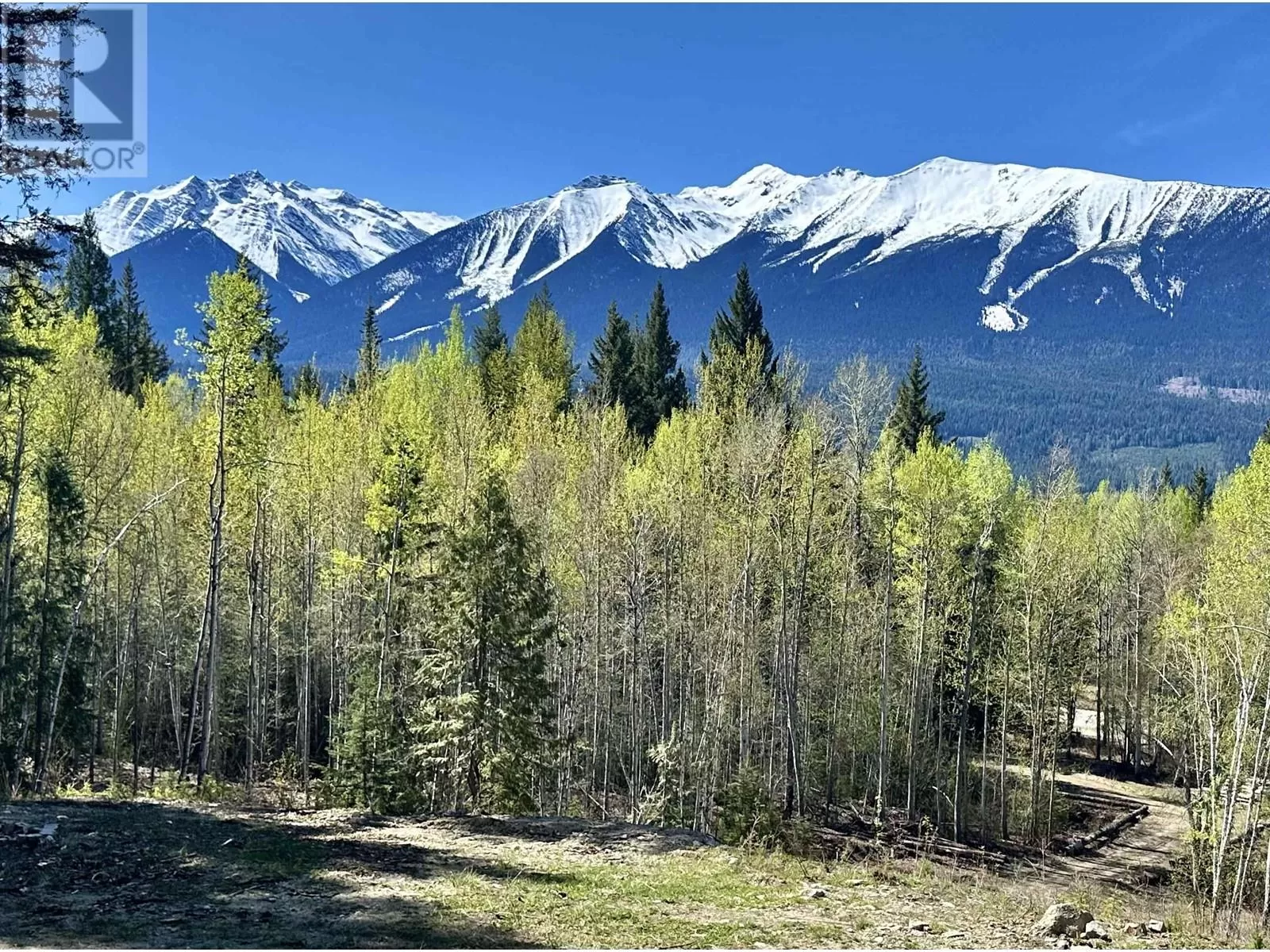 12870 E 16 Highway, Valemount, British Columbia V0E 2Z0