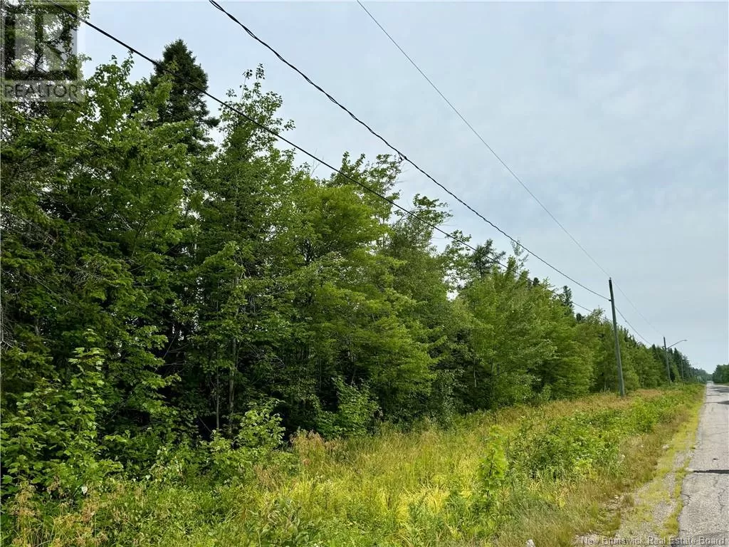 25.2 Acres Rte 445, Fairisle, New Brunswick E9G 3C1