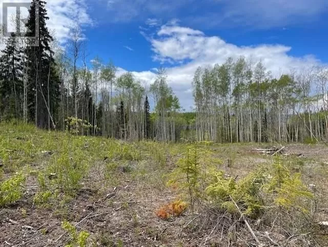 2575 Wallace Road, Burns Lake, British Columbia V0J 1E2