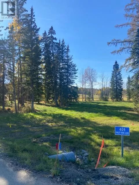409 Valley View Close, Rural Clearwater County, Alberta T4T 1A7