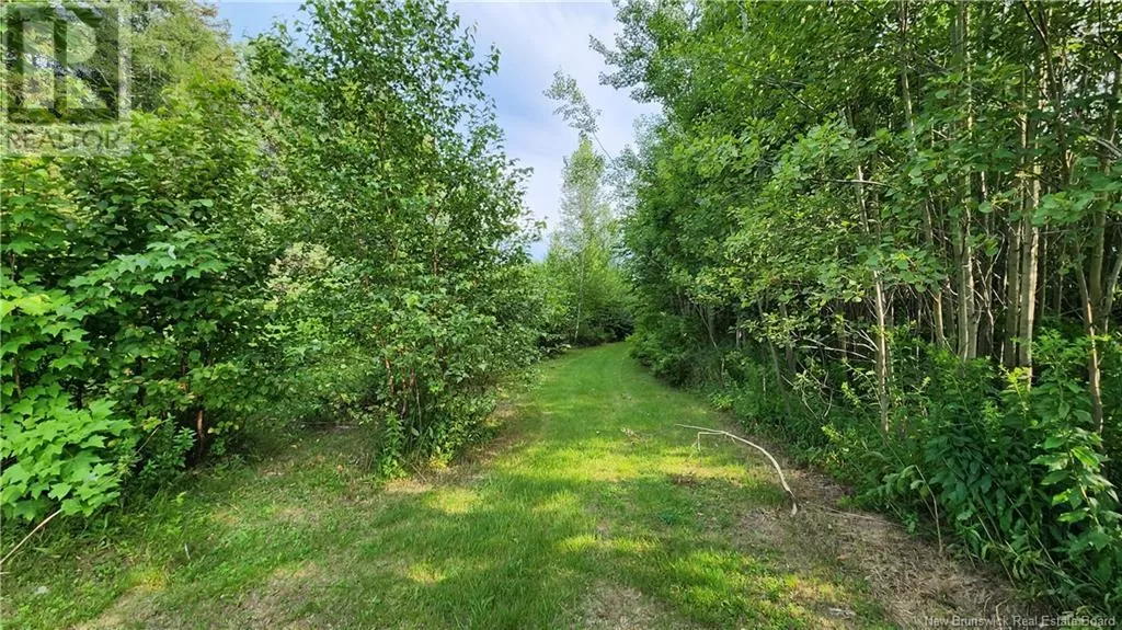 7.6 Acres Rue Pinet, Bertrand, New Brunswick E1X 1L3