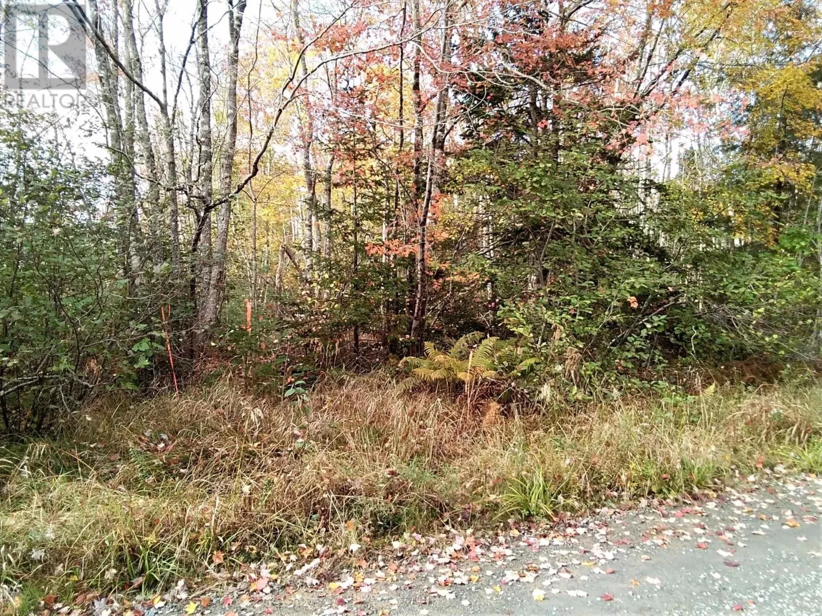 East Clifford Road, East Clifford, Nova Scotia B4V 1Y7