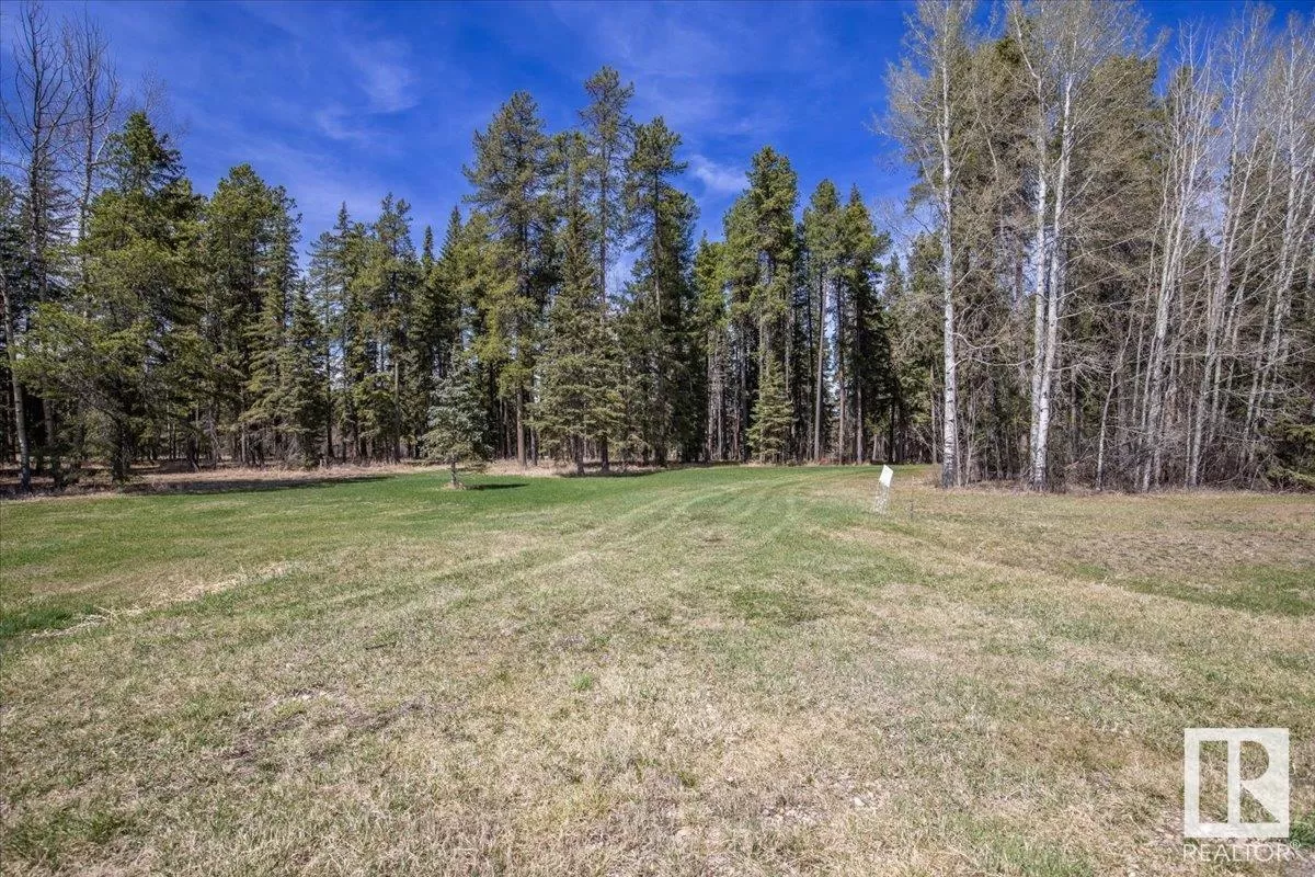No Building for rent: Lot# 1 465011 Rge Rd 64, Rural Wetaskiwin County, Alberta T0C 0T0