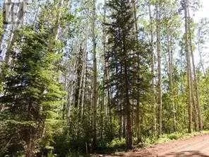 Lot #10 Wapiti River Sw-21-69-10-w6, Rural Grande Prairie No. 1, County of, Alberta T0H 1J0