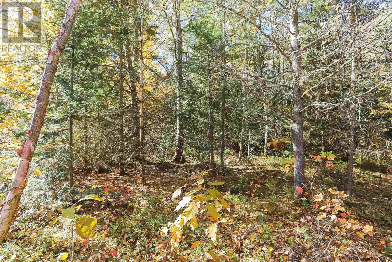 Lot 17 Nokomis Beach Rd, Sault Ste. Marie, Ontario P6A 5K6