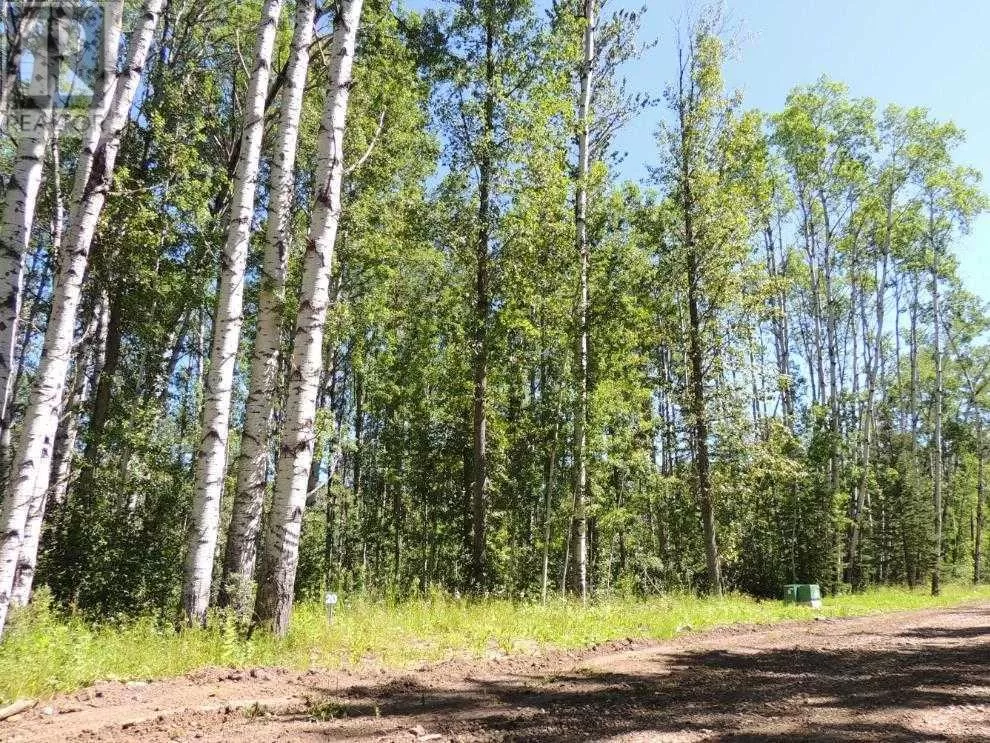 Lot #20 Wapiti River Sw-21-69-10-w6, Rural Grande Prairie No. 1, County of, Alberta T0h 1J0