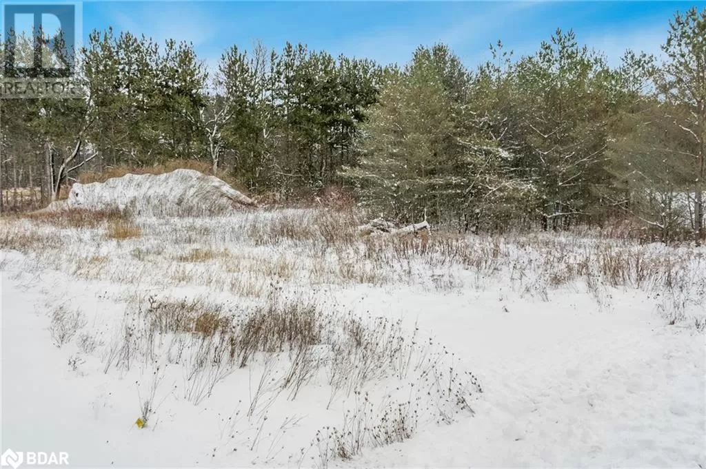 Lot 23 Rue Eric, Tiny, Ontario L9M 0H1