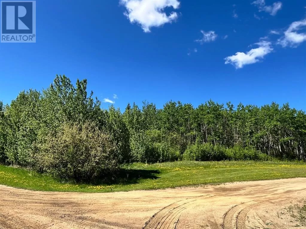 Lot 4 163 Range Road, Plamondon, Alberta T0A 2T0