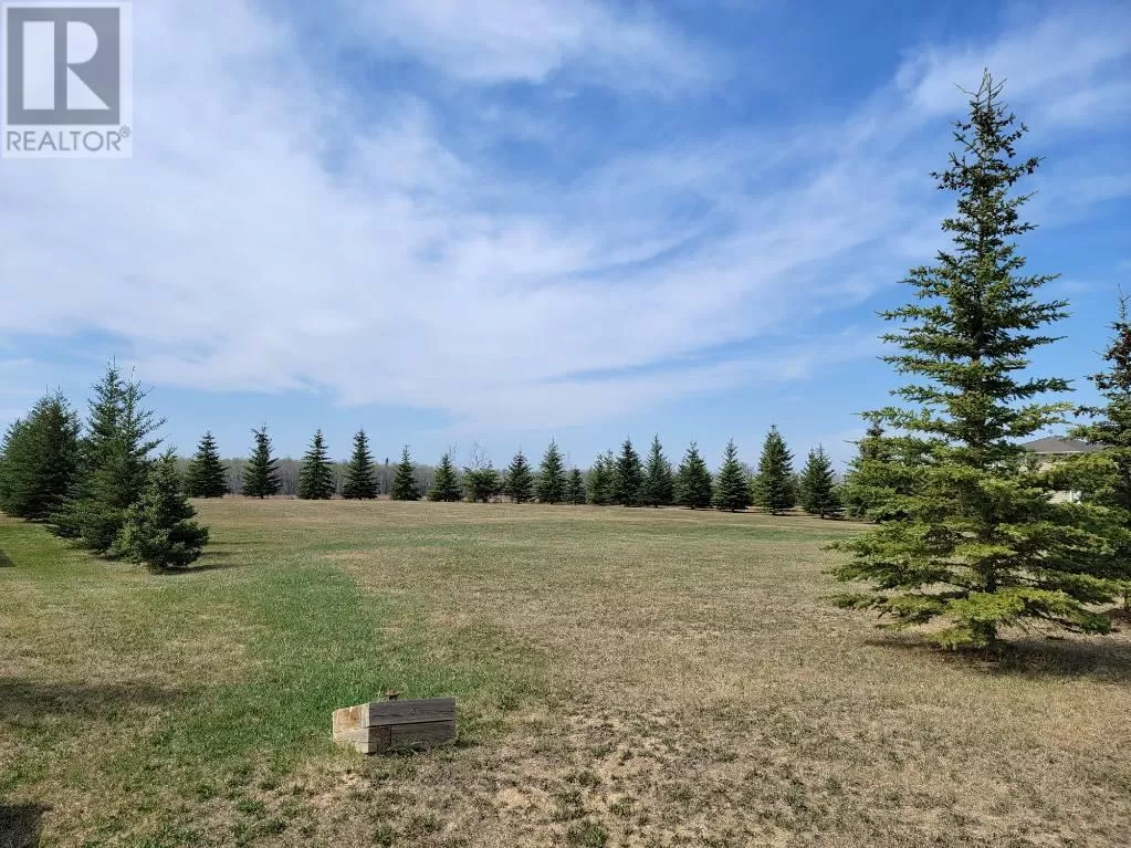 Lot 4 Tower Road, Athabasca, Alberta T9S 0B8