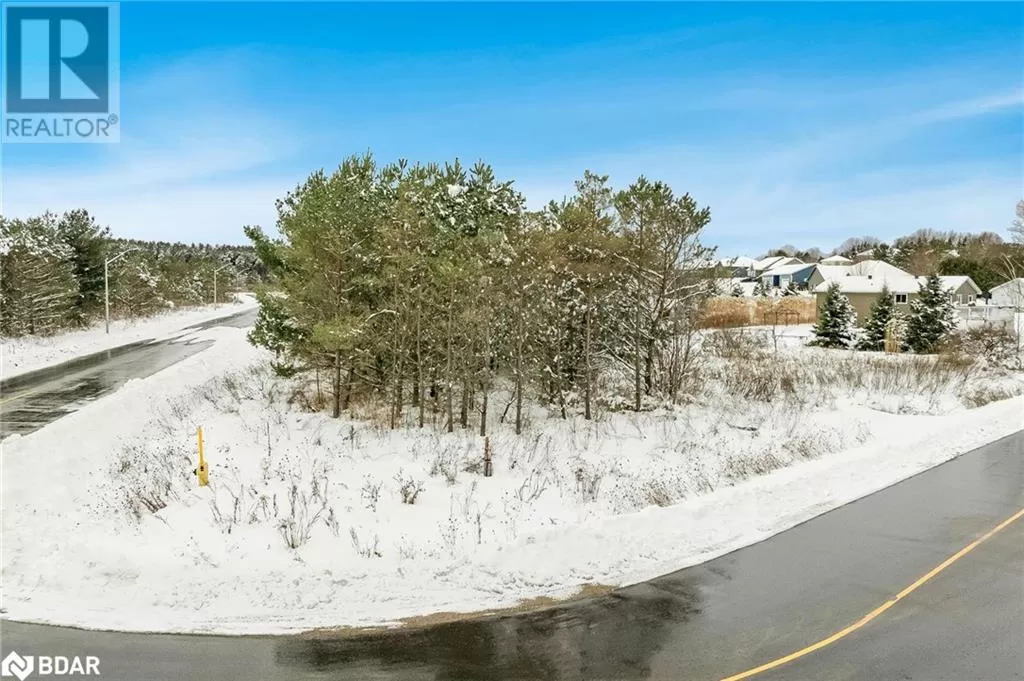 Lot 44 Rue Eric, Tiny, Ontario L9M 0H1