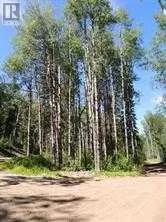 Lot #7 Wapiti River Sw-21-69-10-w6, Rural Grande Prairie No. 1, County of, Alberta T0H 1J0