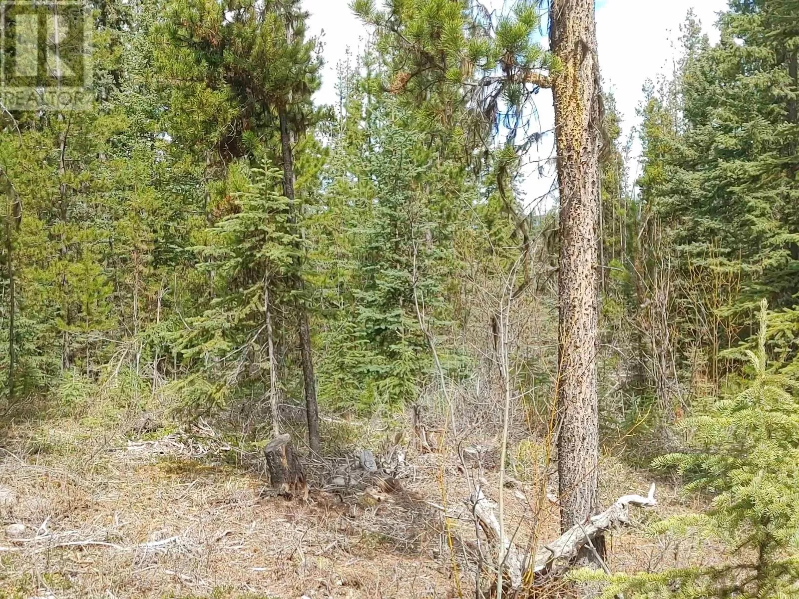 Lot 9 Ager Road, Burns Lake, British Columbia V0J 1E2