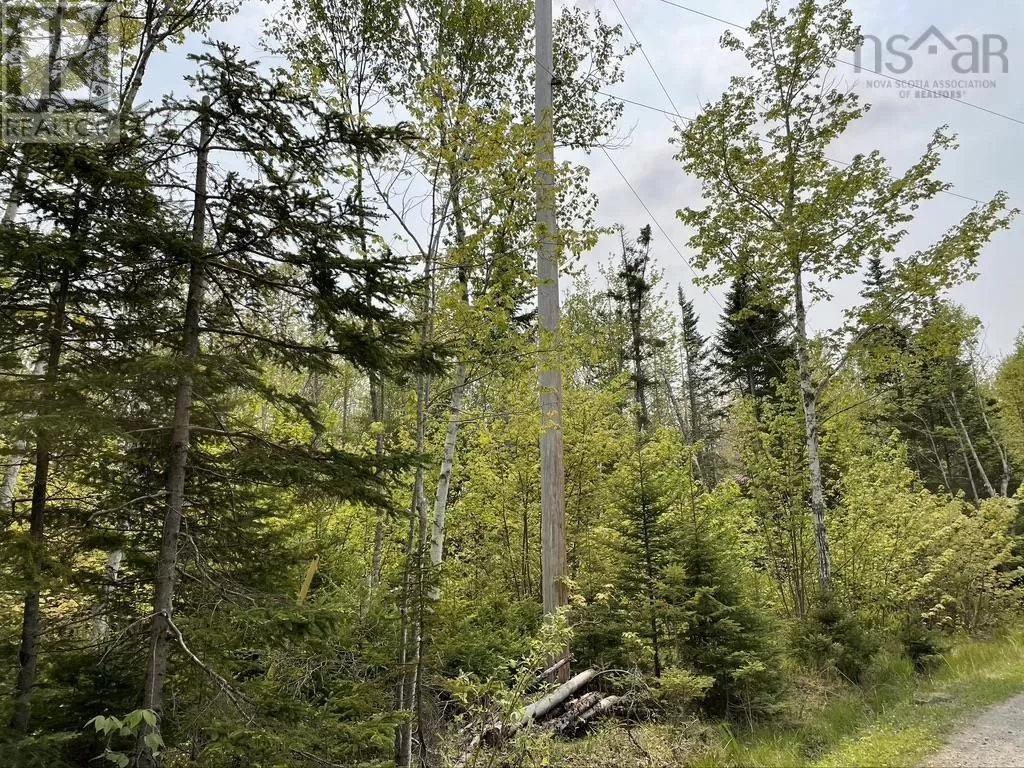 Old County Road, Baddeck Inlet, Nova Scotia B0E 1B0