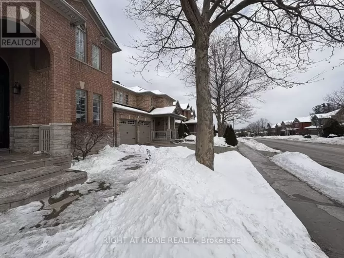 BASEMENT - 238 SUMMERIDGE DRIVE, Vaughan