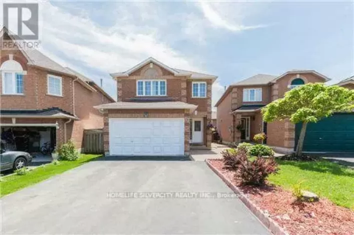 BASEMENT - 57 ZACHARY DRIVE, Brampton