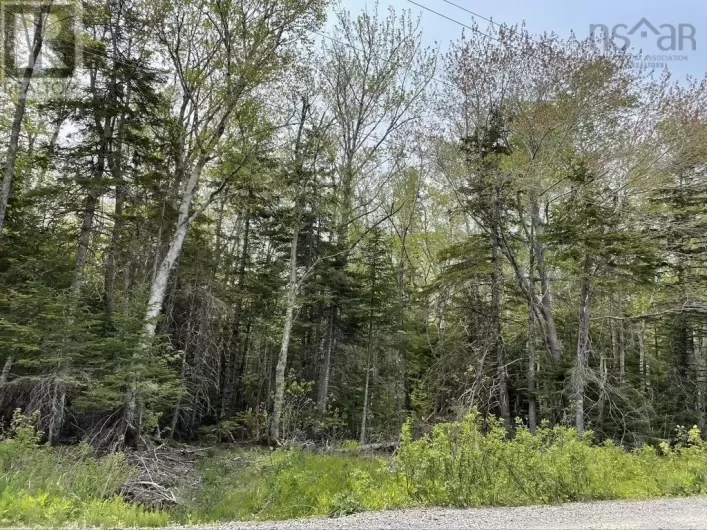 Beverly's Hill Road, Baddeck Inlet