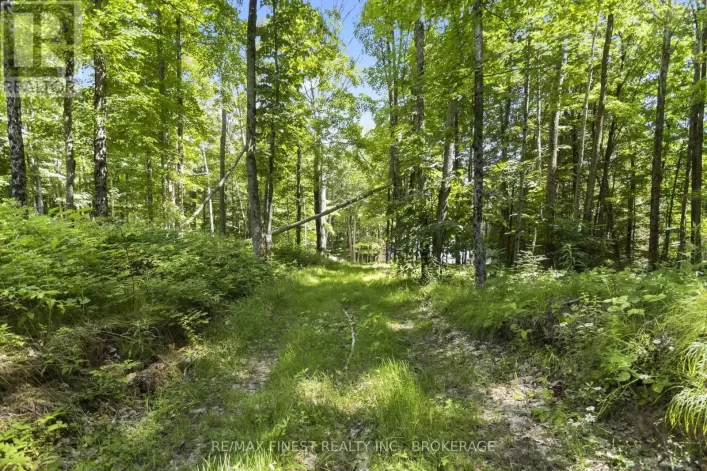 LOT 14 -15 0 THUNDER LANE, Central Frontenac