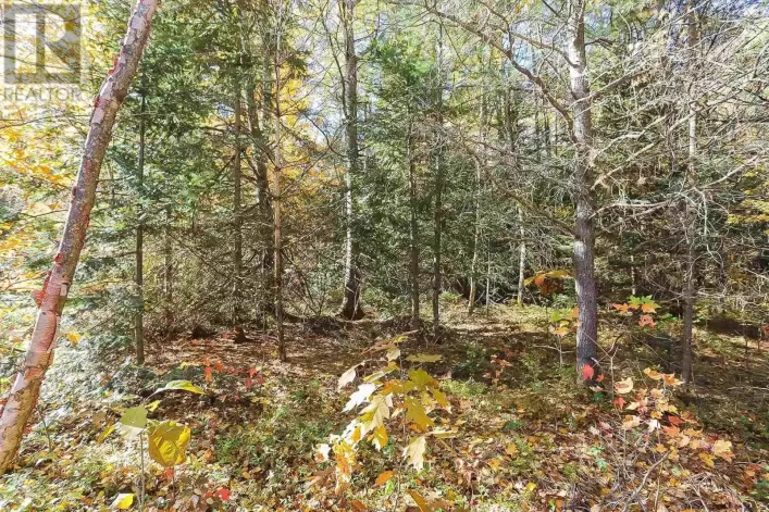 Lot 17 Nokomis Beach RD, Sault Ste. Marie