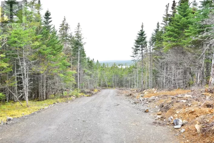 Lot 3 Second Pond Road, Shearstown / Butlerville